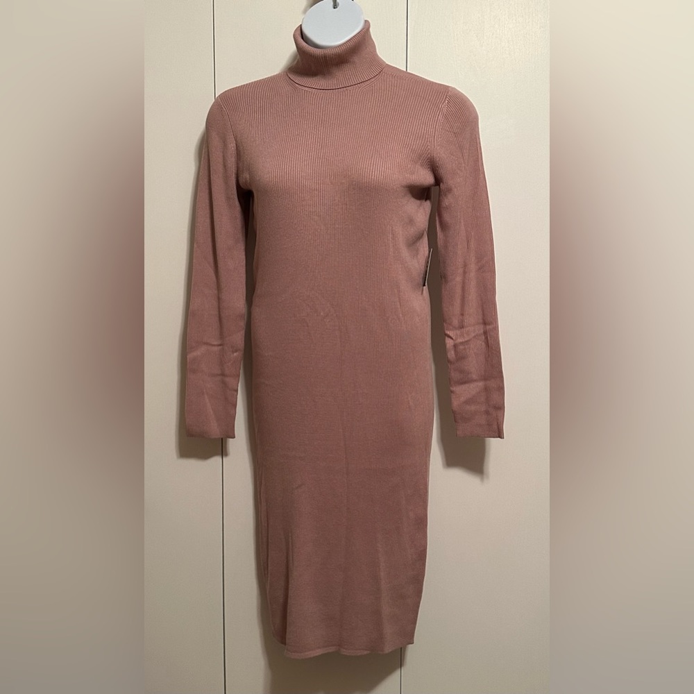 Express Turtleneck Sweater Dress